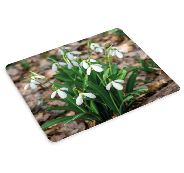 Musematte original snøklokke blomsterarrangement - Tenstickers
