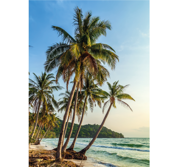 Palmer på stranden rullegardin bad - Tenstickers