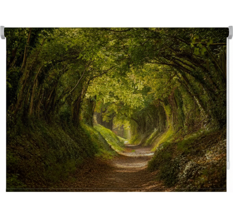 Rullegardin trær engelsk grønn sti - Tenstickers