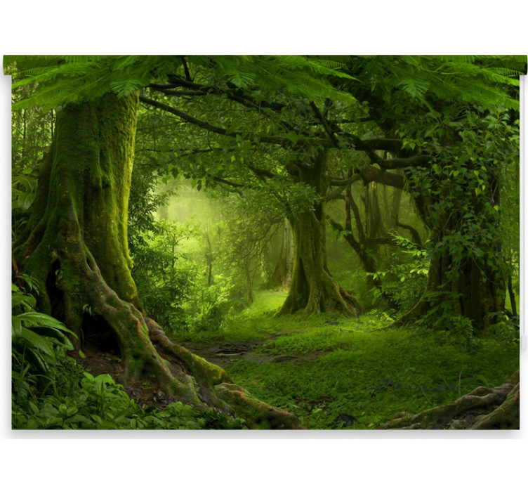 Rullegardin trær frodig skogflukt - Tenstickers