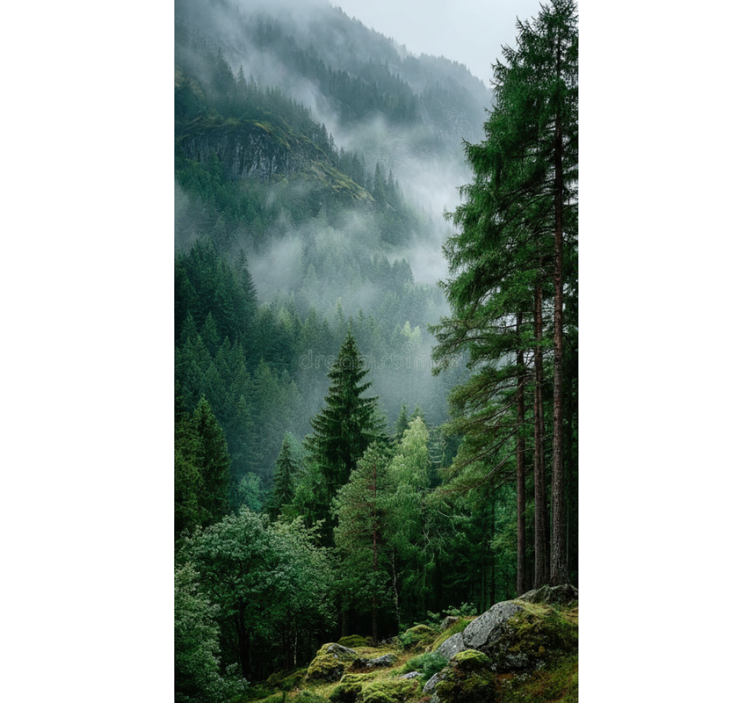 Rullegardin trær det stemningsfulle valget - Tenstickers