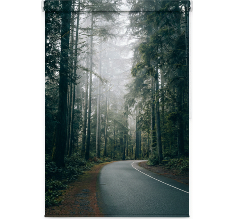 Rullegardin trær tåkete furuvei - Tenstickers