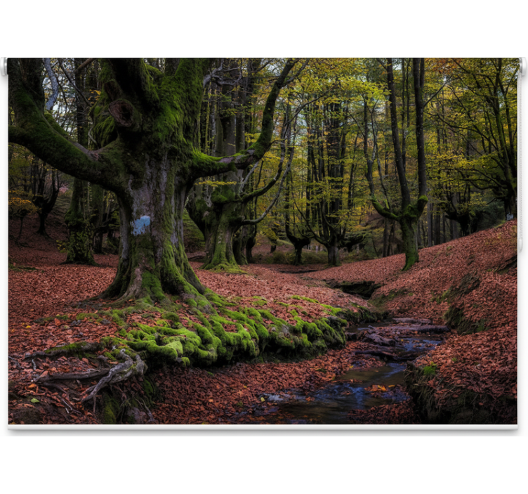 Rullegardin trær fortryllet høstskog - Tenstickers