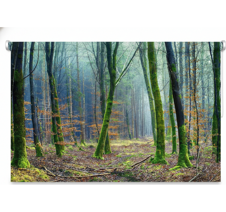 Rullegardin trær tåkete skog japandi - Tenstickers