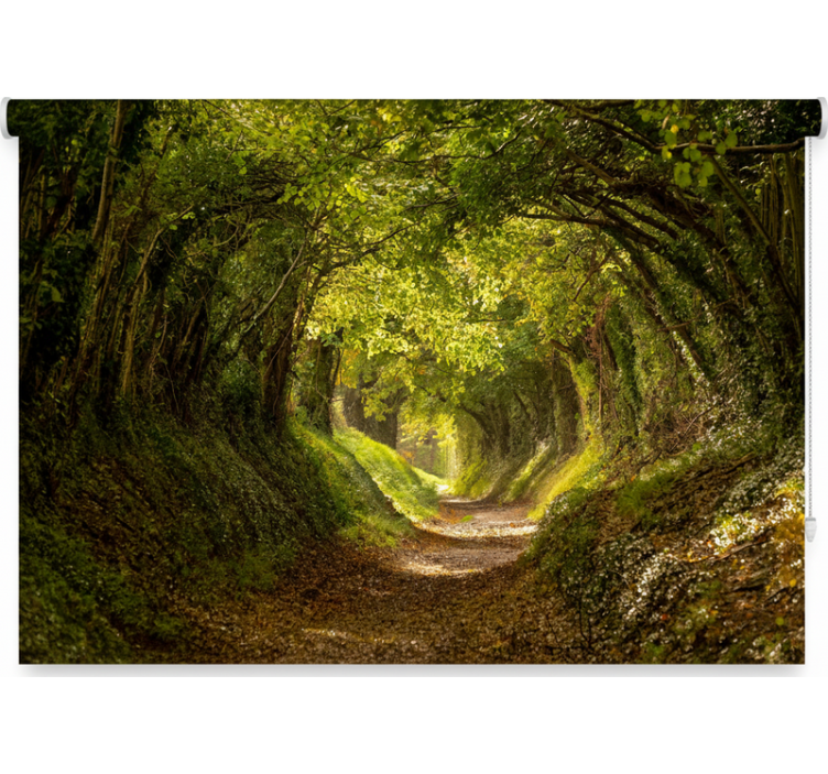 Rullegardin trær med fortryllende skogmotiv - Tenstickers