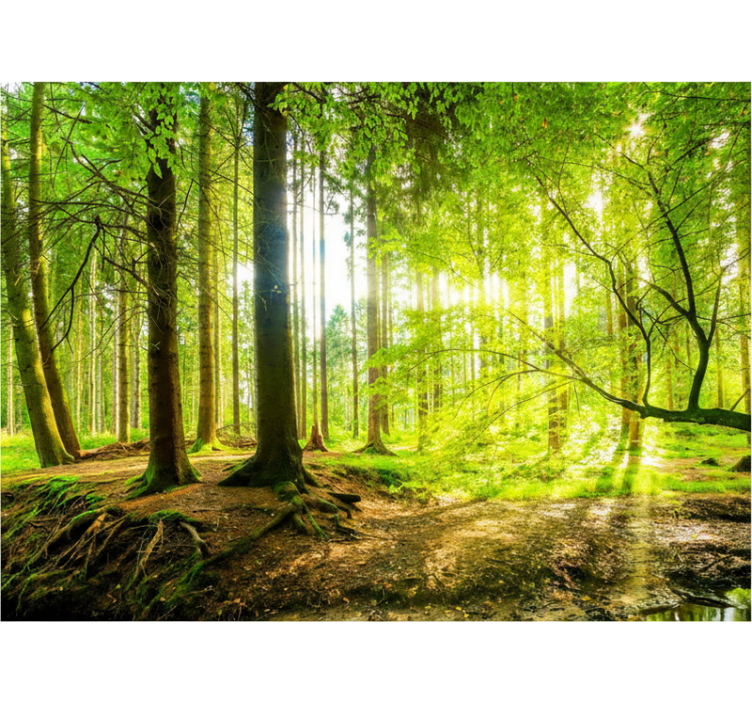 Rullegardin trær frodig fjelldal - Tenstickers