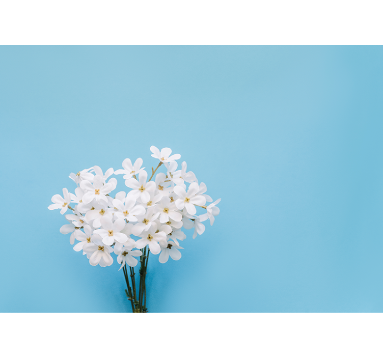 Jazmin blå bakgrunn rullegardin kjøkken - Tenstickers