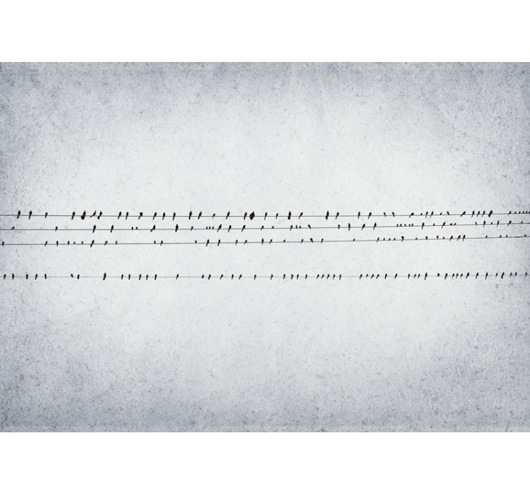 Hvit rullegardin fuglekonsert på linjer - Tenstickers