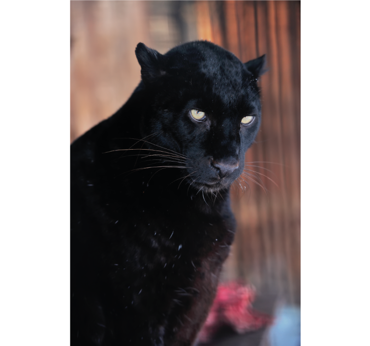 Rullegardin stue leopardjakt - Tenstickers