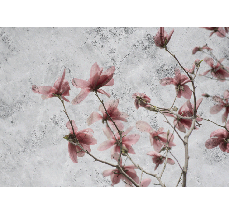 Rullegardin stue elegant glamorøs magnolia design - Tenstickers