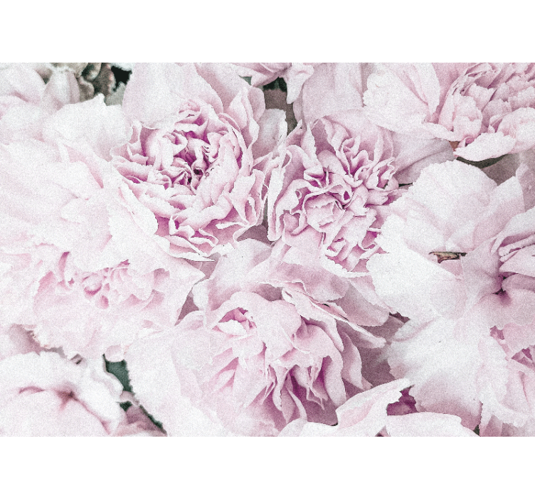 Rullegardin stue elegant design med rosa peoner - Tenstickers