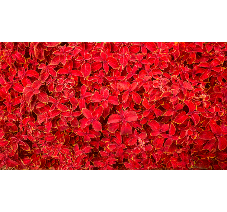 Rullegardin rød blomstermønster - Tenstickers