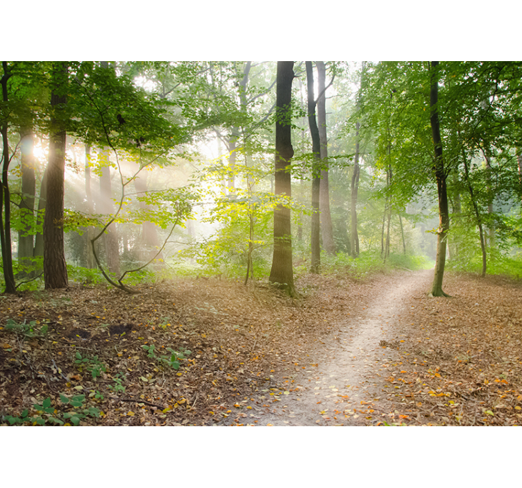 Rullegardin stue skogsti ro - Tenstickers