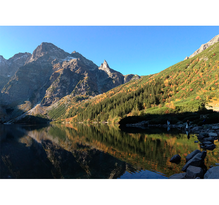 Rullegardin grønn morskie oko om våren - Tenstickers