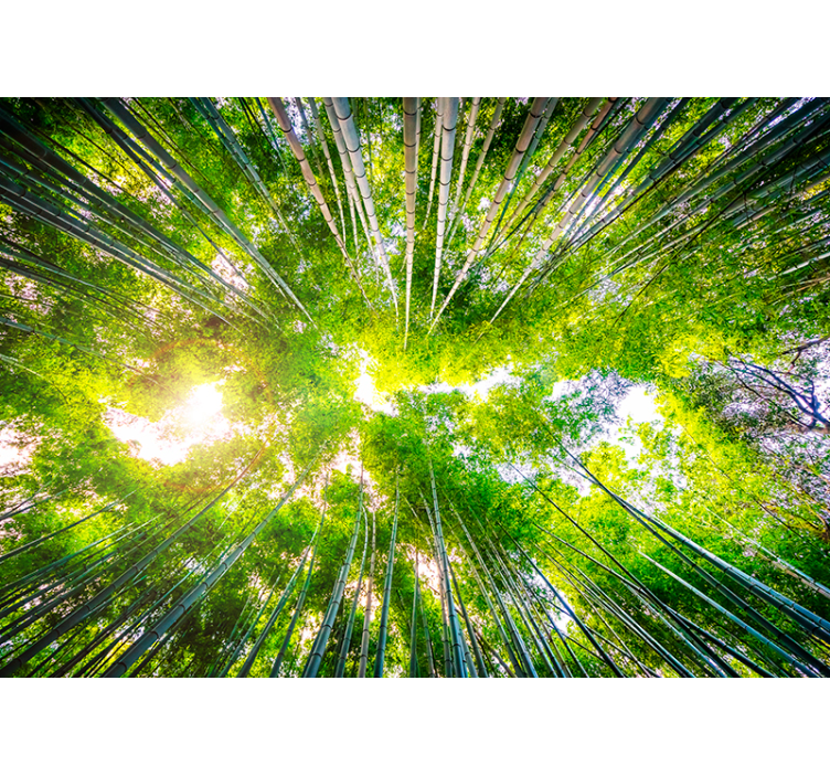 Rullegardin stue bambus takoverheng - Tenstickers