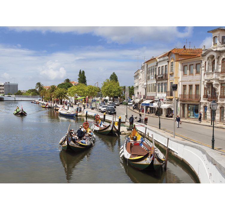 Rullegardin stue aveiro moliçeiro - Tenstickers