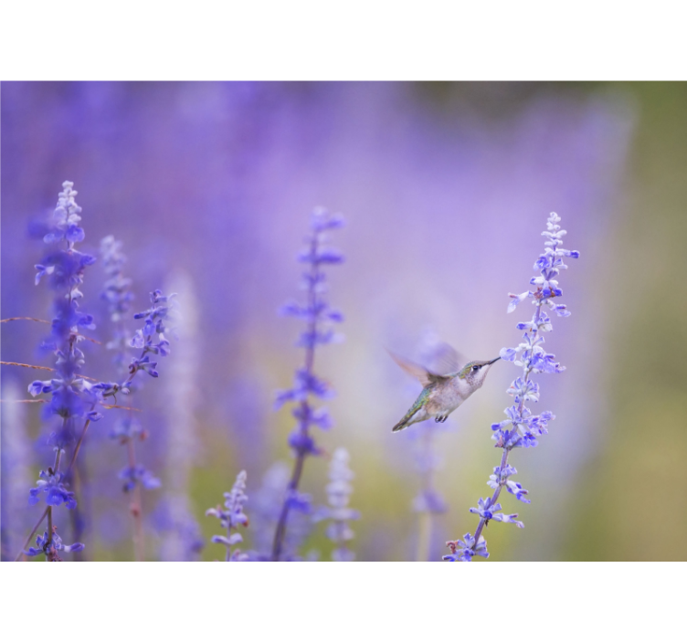 Rullegardin stue blomster med fugl - Tenstickers