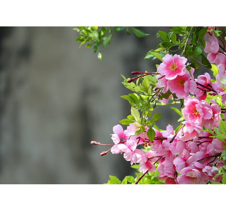 Rullegardin stue rosa blomster 3d - Tenstickers