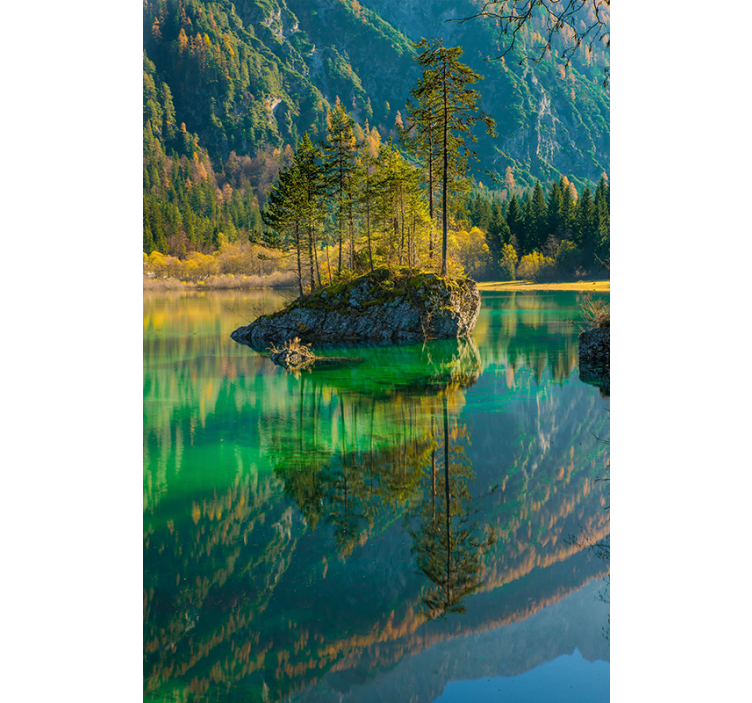 Reflektert tre natur rullegardiner - Tenstickers
