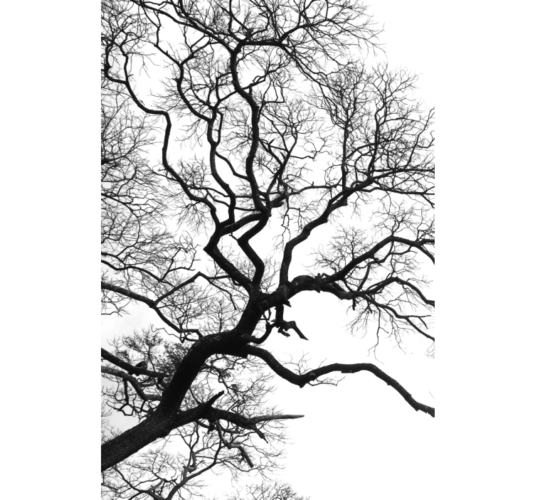 Enkelt tregrenbrudd rullegardin tegning - Tenstickers