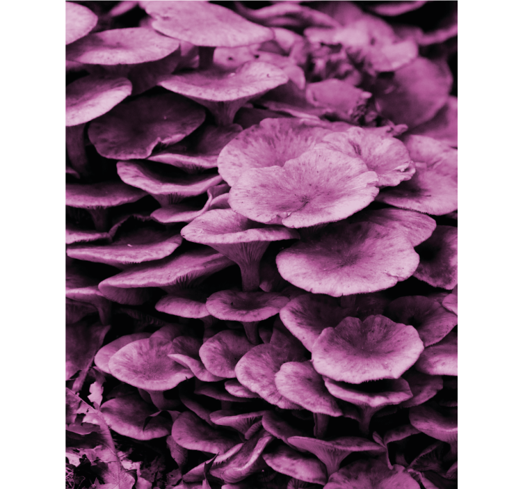 Livlige blomsterlag rullegardin blomster - Tenstickers