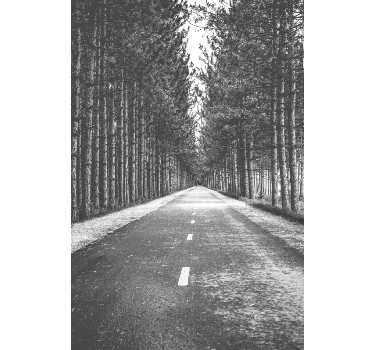 Rolig skogssti rullegardin andre temaer - Tenstickers