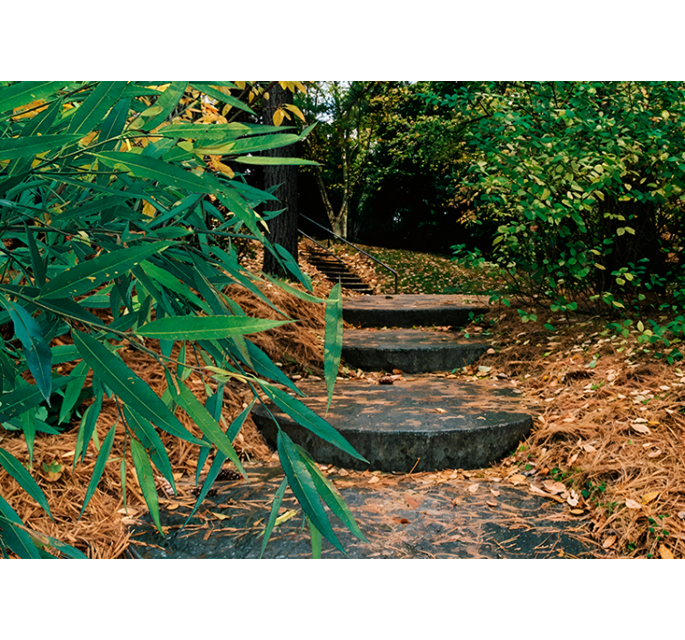 3d skog og liten vei rullegardin originale - Tenstickers