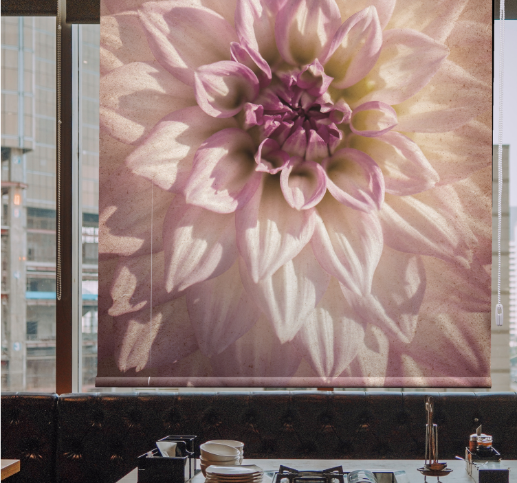 Rosa dahlia rullegardin blomster - Tenstickers