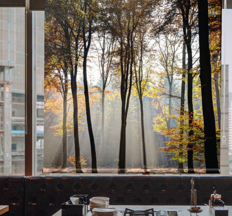 Solbelyst skogscene rullegardin trær - Tenstickers