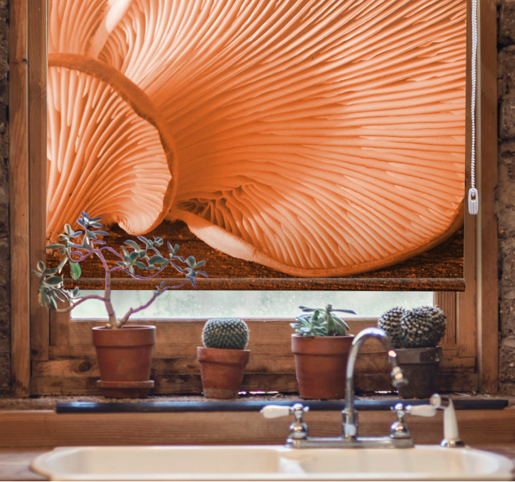 Sopp gjeller nærbilde rullegardin frukt - Tenstickers