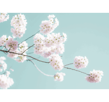 Rullegardin kjøkken elegant og feminin blomsterdesign - Tenstickers