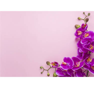 Rullegardin kjøkken rosa bakgrunn med orkidé - Tenstickers