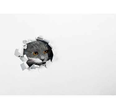 Hvit rullegardin søt katt - Tenstickers