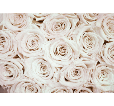Hvit rullegardin med elegant rosa blomstermønster - Tenstickers