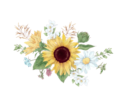 Hvit rullegardin med solblomster og prestekrager - Tenstickers