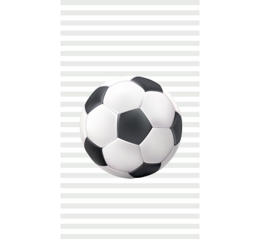 Hvit og svart ballRullegardin fotball - Tenstickers