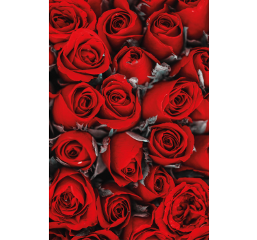 Røde roser romantisk blomster rullegardin - Tenstickers