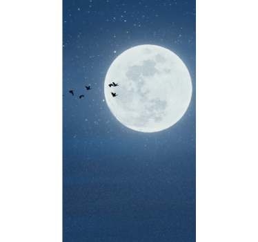 Fullmåne og himmel originale rullegardin - Tenstickers