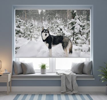 Hvit rullegardin vinterforest og huskyhund - Tenstickers
