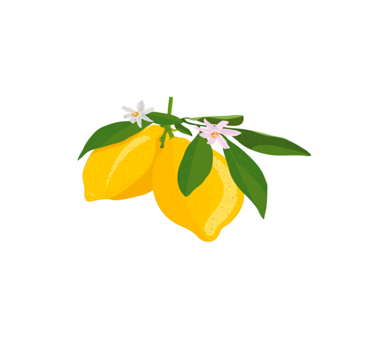 Lemon branch illustrasjon spisebrikke original - Tenstickers