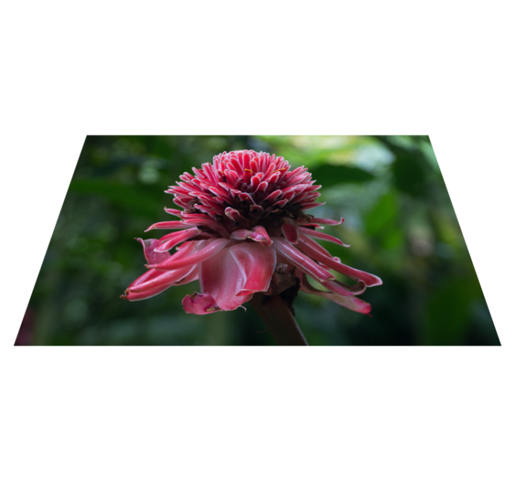 Tropisk blomsterdekorasjon spisebrikke original - Tenstickers