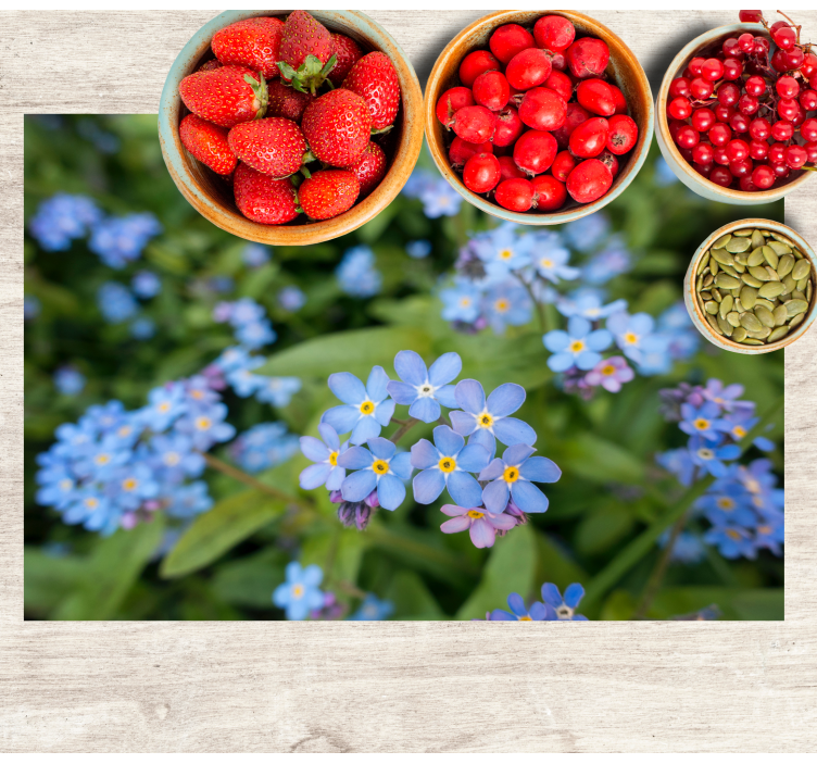 Søte små blå blomster spisebrikke moderne - Tenstickers