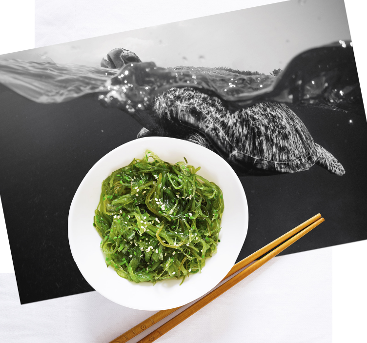 Svart / hvitt skilpadde som svømmer svarte spisebrikker - Tenstickers