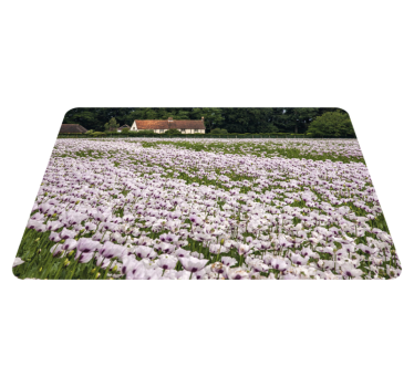 Spisebrikke original lavendelblomsterfelt - Tenstickers