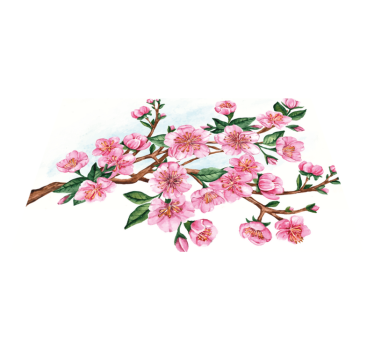 Blomstrende tre originale vinylplattematter - Tenstickers