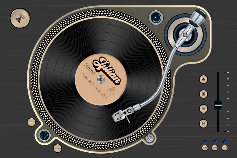 Navneplater for vinylplater - Tenstickers