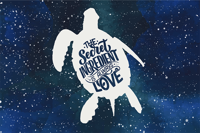 Skilpadde med galakse mønster skilpadde spisebrikker - Tenstickers