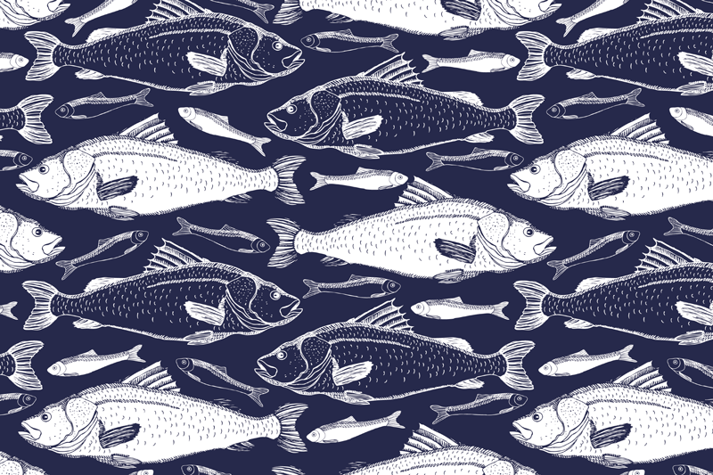 Fisk under havet spisebrikker - Tenstickers