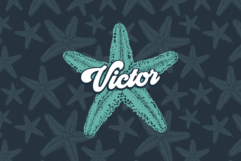 Spisebrikke med navn stjernesnegle personlig preg - Tenstickers