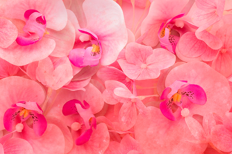 Spisebrikke tekstur grasiøs blomsterkomposisjon - Tenstickers